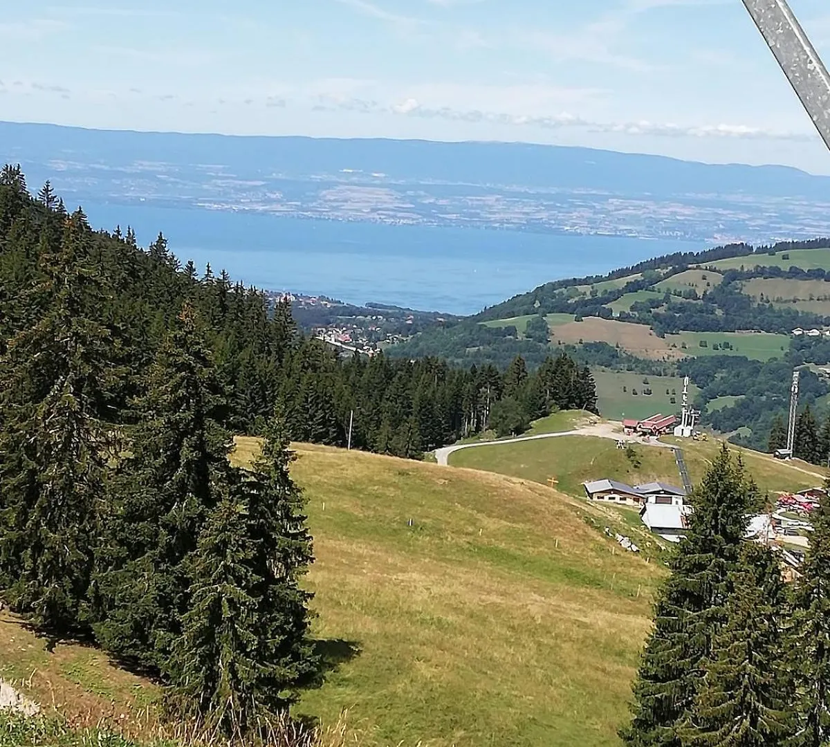 Bright Modern Apartment With Lake View In Evian Neuvecelle